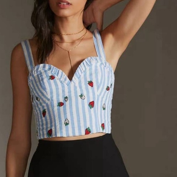 Anthropologie Tops - NWOT Anthropologie embroidered crop top
